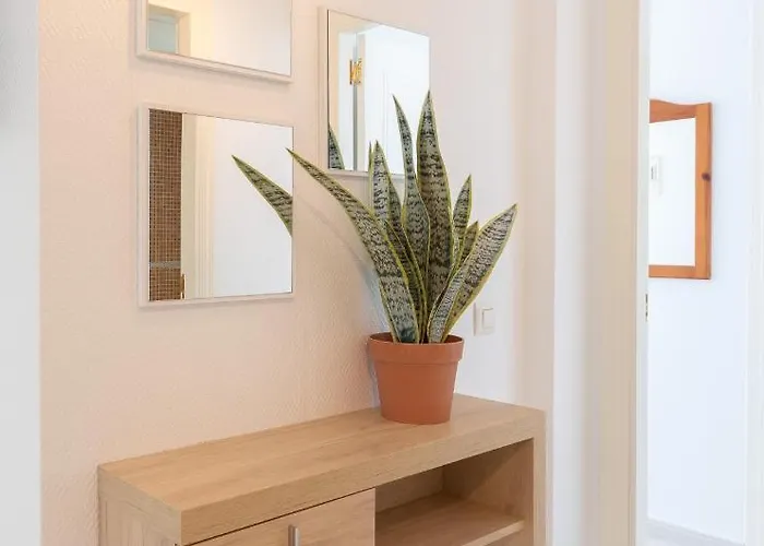 Appartement Apolo Xiv - Costa Carpediem